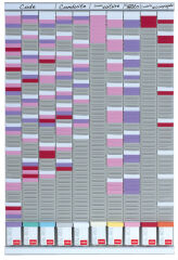 Planning universel à fiches T 64,5x96 cm - Nobo 