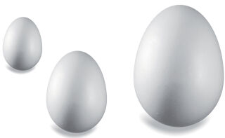 KNORR prandell Oeuf en polystyr&egrave;ne, hauteur: 60 mm, blanc